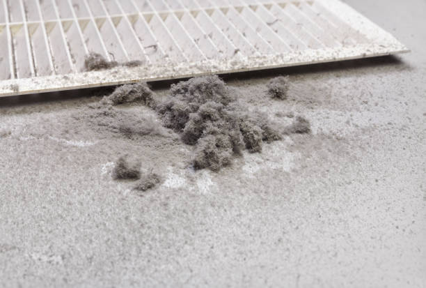 Best Residential Air Duct Cleaning  in Paisley, FL