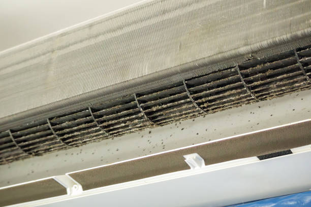 Best Best Air Duct Cleaning Near Me  in Paisley, FL
