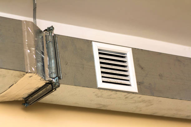 Best Home Air Vent Cleaning  in Paisley, FL